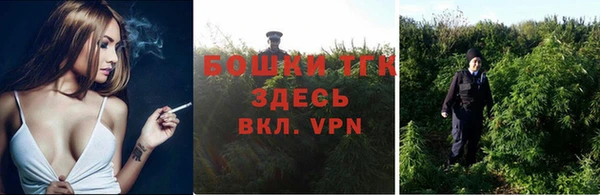 ALPHA PVP Каменка