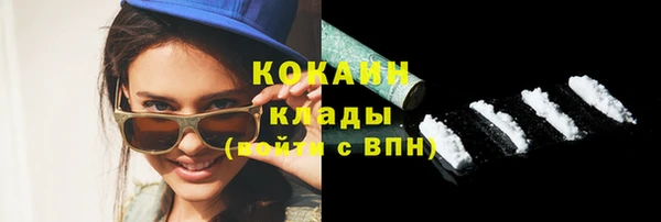 индика Карпинск
