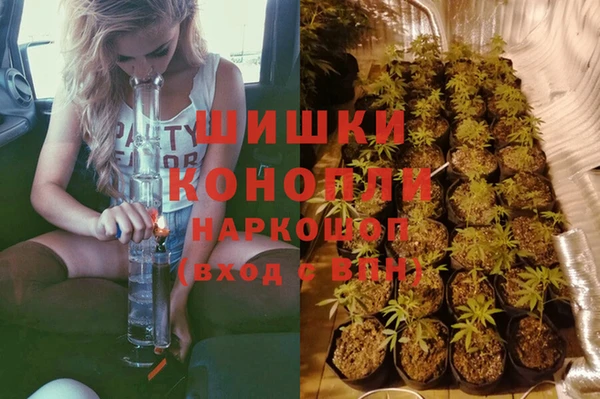 ALPHA PVP Каменка